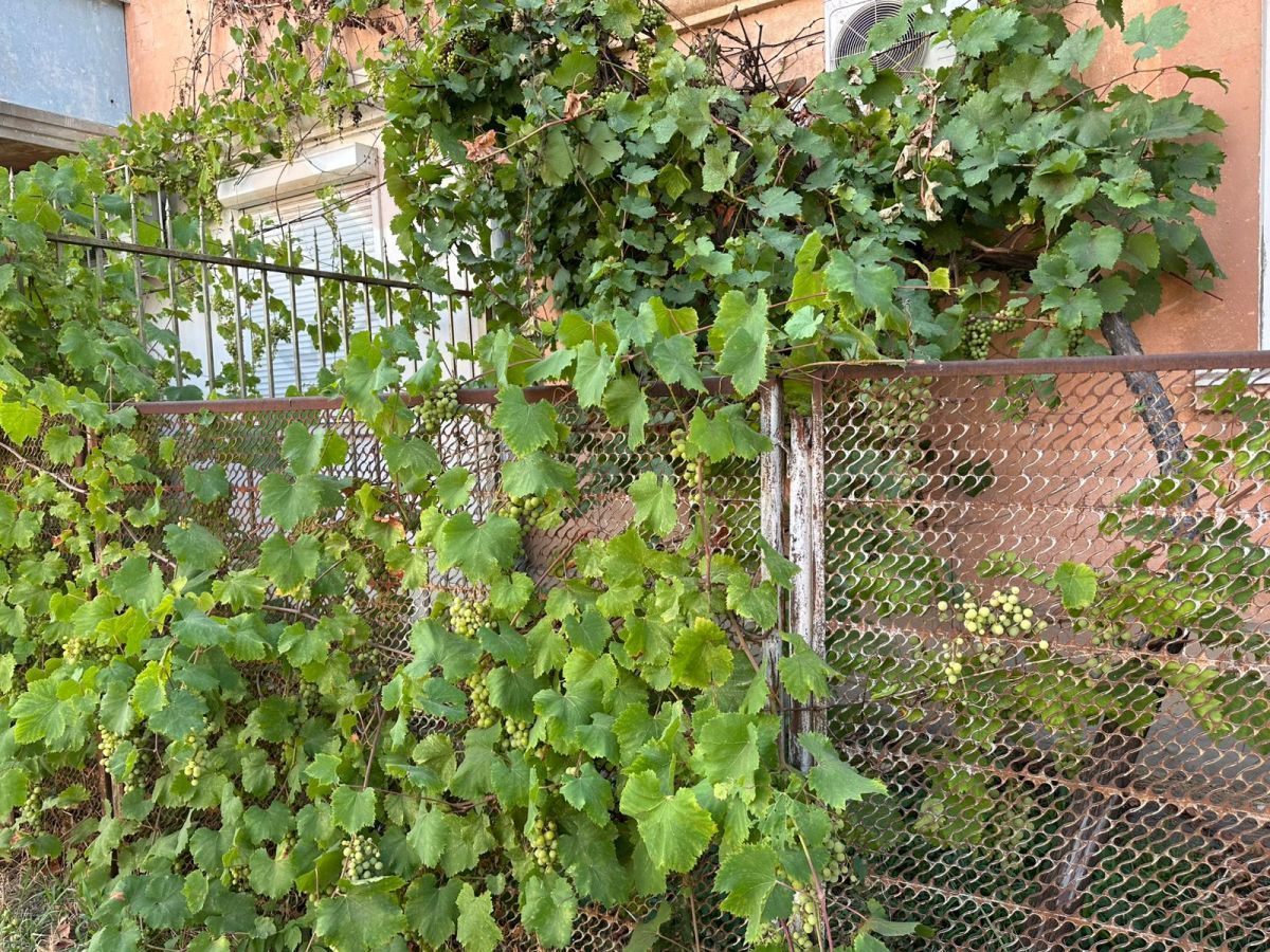 Купить 3-комнатную