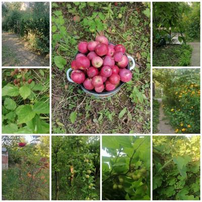 Купить  участок