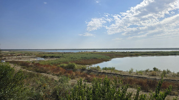 Купить  участок