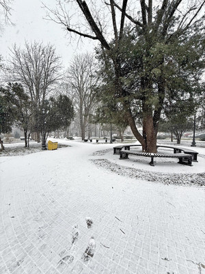 Купить 1-комнатную квартиру